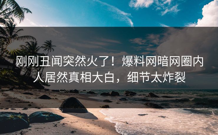 刚刚丑闻突然火了！爆料网暗网圈内人居然真相大白，细节太炸裂