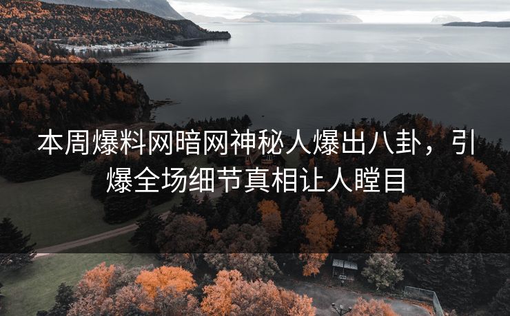 本周爆料网暗网神秘人爆出八卦，引爆全场细节真相让人瞠目
