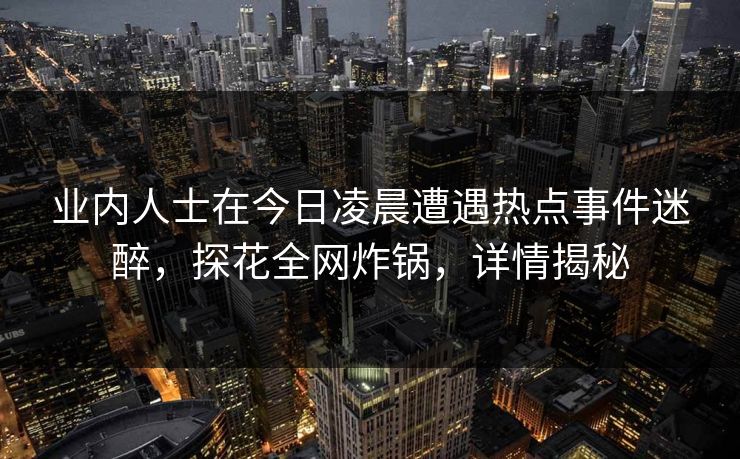 业内人士在今日凌晨遭遇热点事件迷醉，探花全网炸锅，详情揭秘